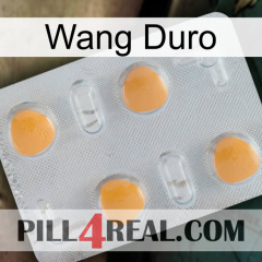 Hard Wang 24